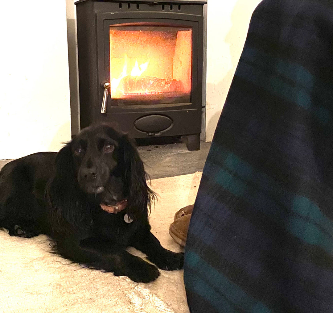 Navy Green Tartan Check Wool Blanket