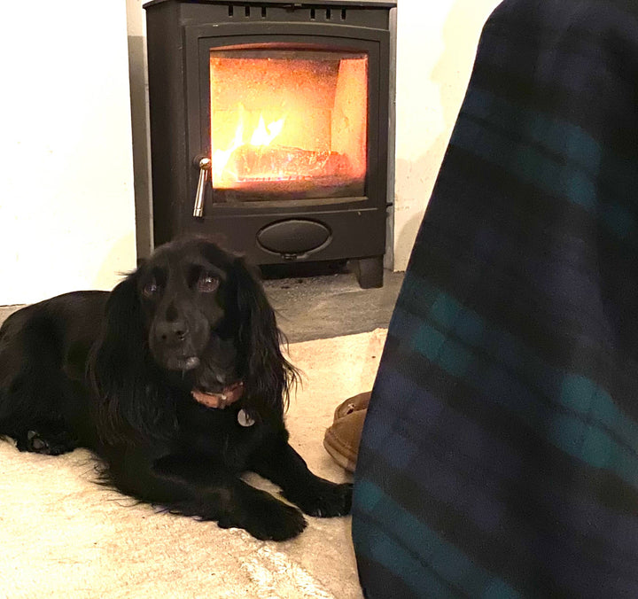 Navy Green Tartan Check Wool Blanket