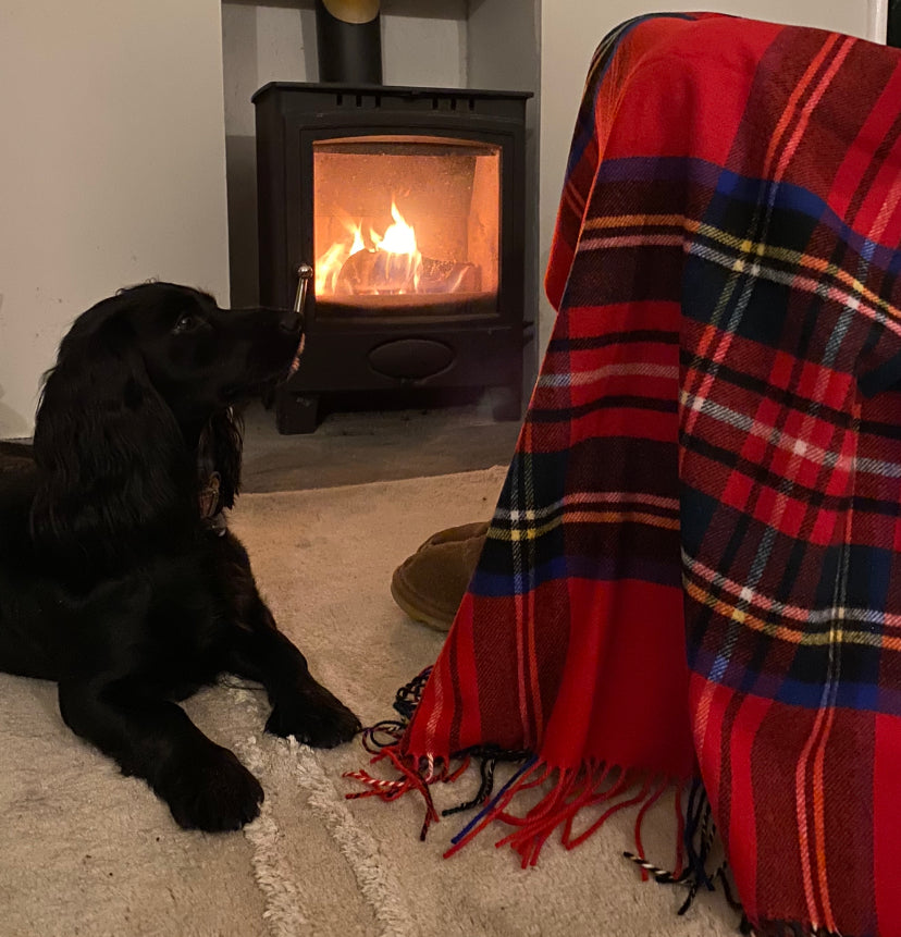 Dress Stewart Tartan Wool Blanket by Ava Innes, Scotland
