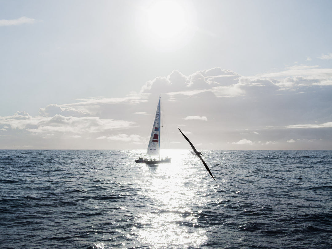 Clipper Round the World Yacht Race: Ava Innes supports the world’s greatest ocean adventure