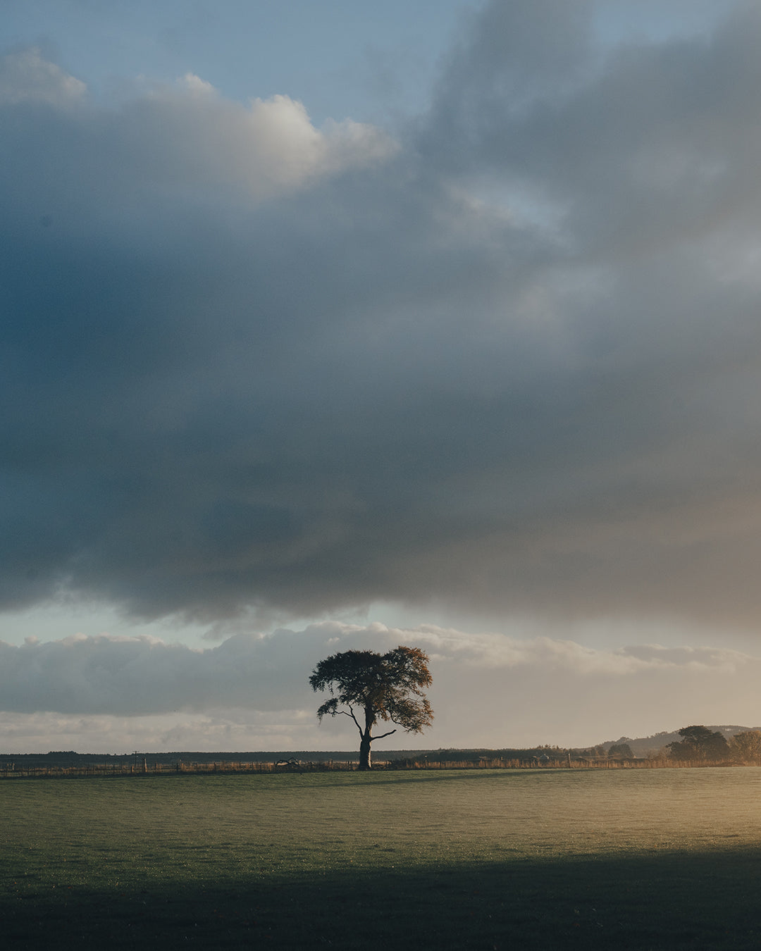 The power of sleep and nature to lift Seasonal Depression