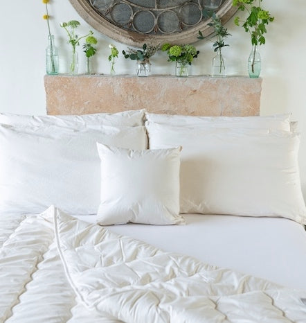 Sleep & Physical Health