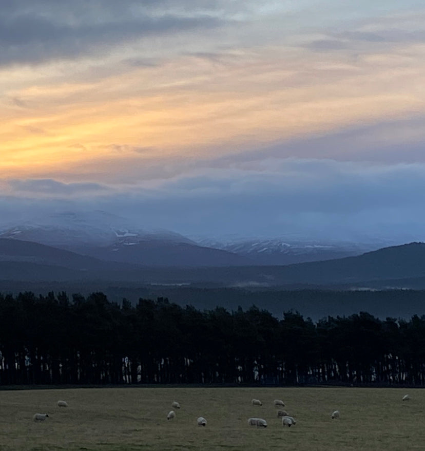 Highland Bliss: Hogmanay at Ava Innes, Where Luxury Meets Well-Being