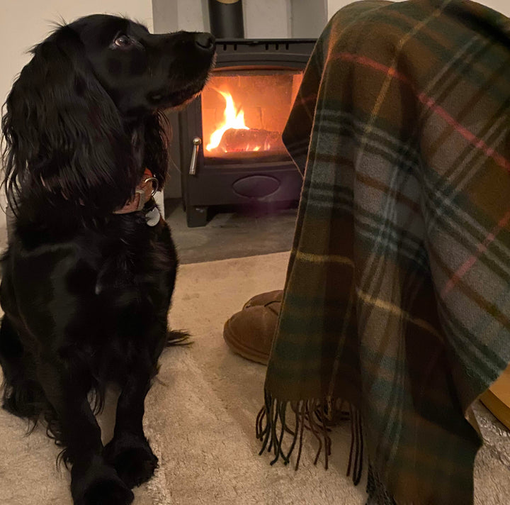 Scottish Check Luxury Small Wool Blanket