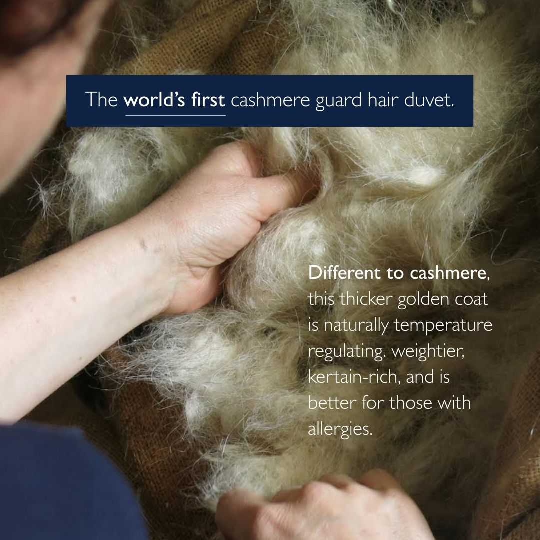 Luxury Cashmere & Wool Duvet