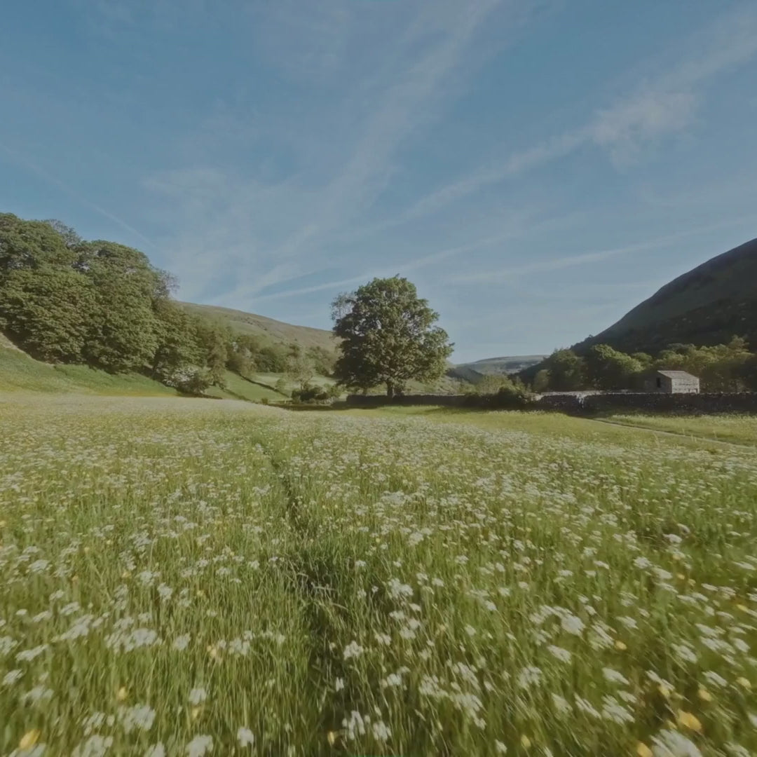 Luxury Cashmere & Wool Duvet