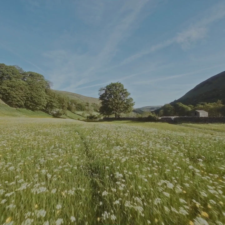 Luxury Cashmere & Wool Duvet