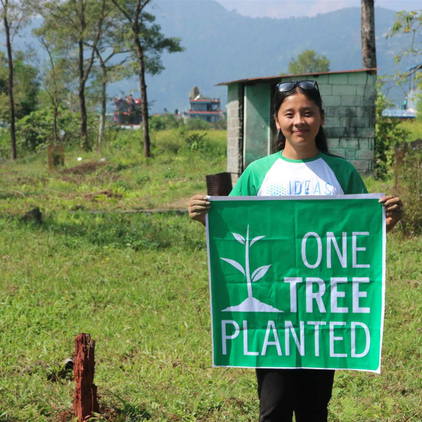 Tree to be Planted
