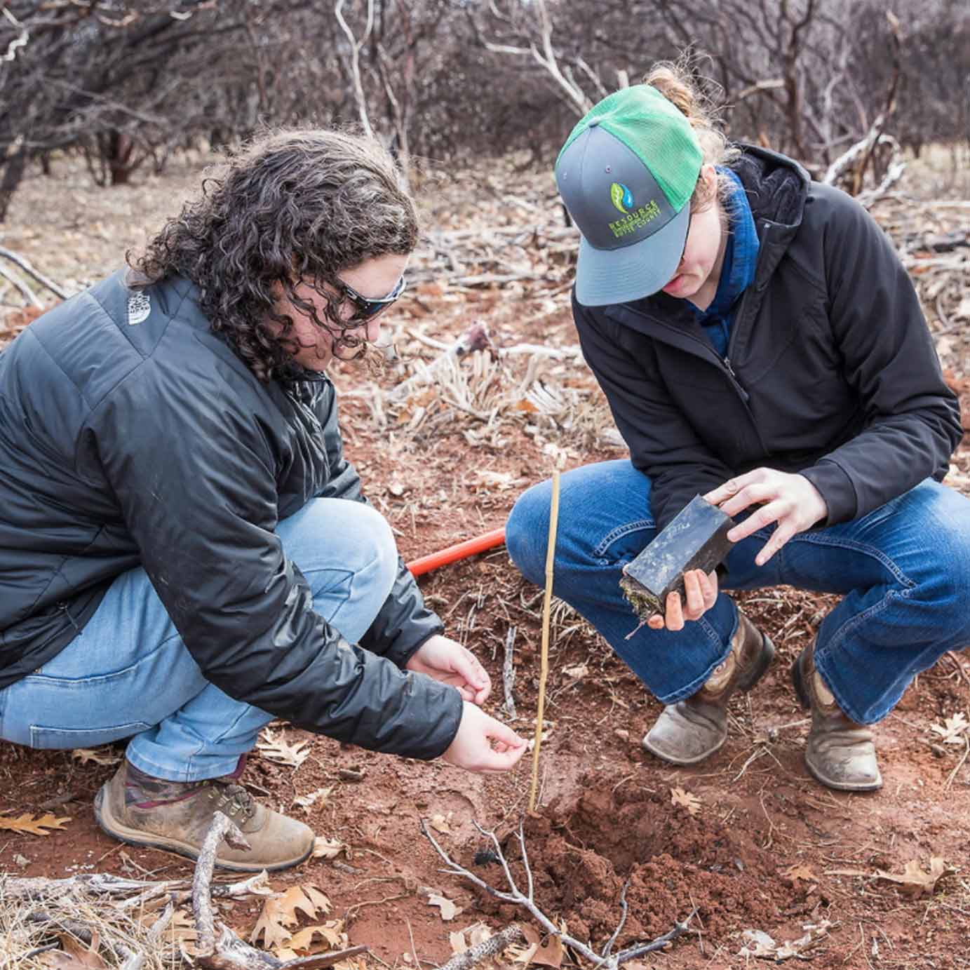 Tree to be Planted