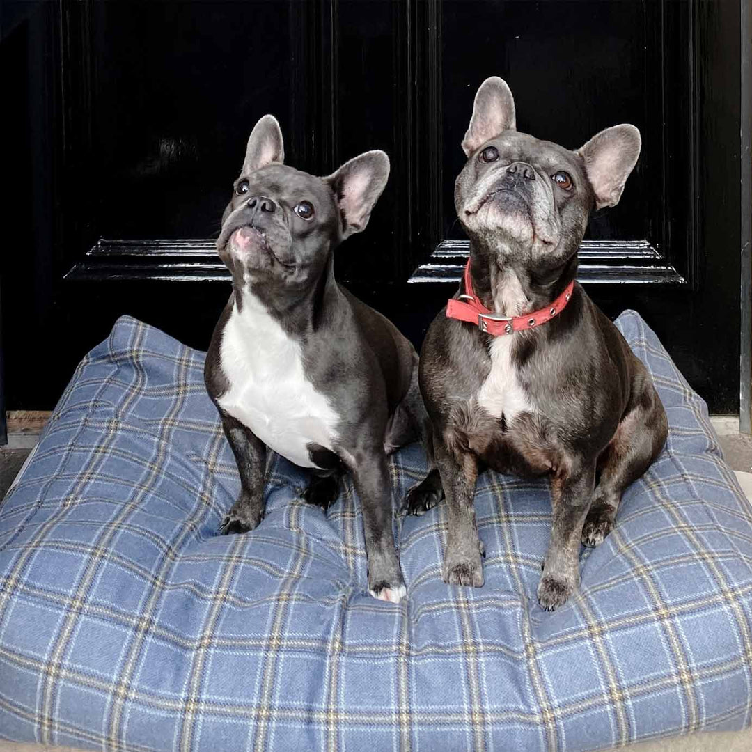 Luxury Cashmere & Wool Filled Pet Bed