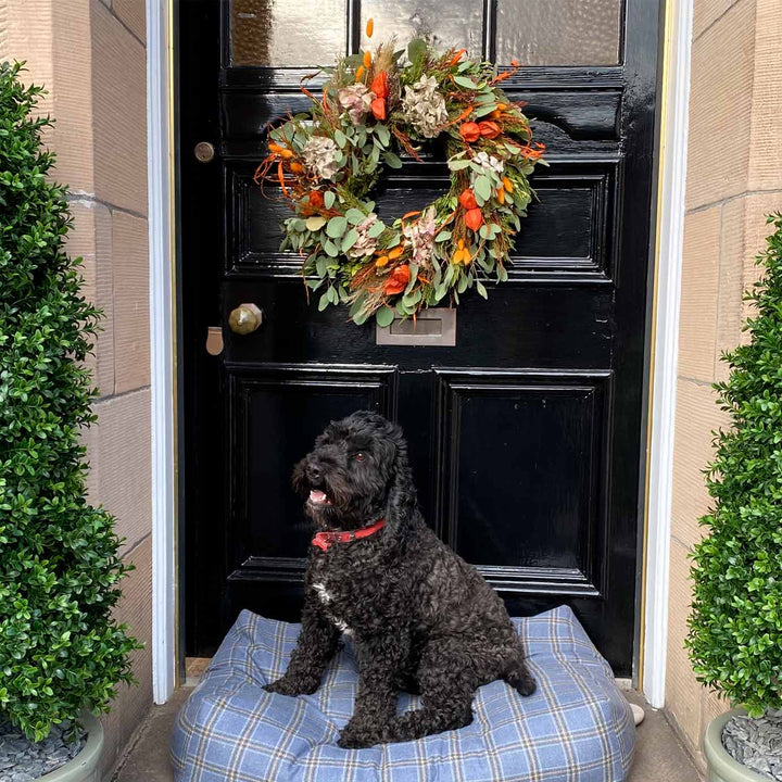 Luxury Cashmere & Wool Filled Pet Bed